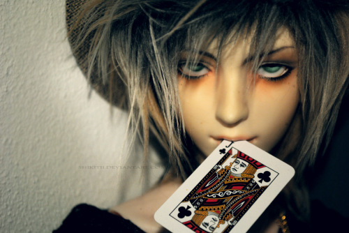 pldq13