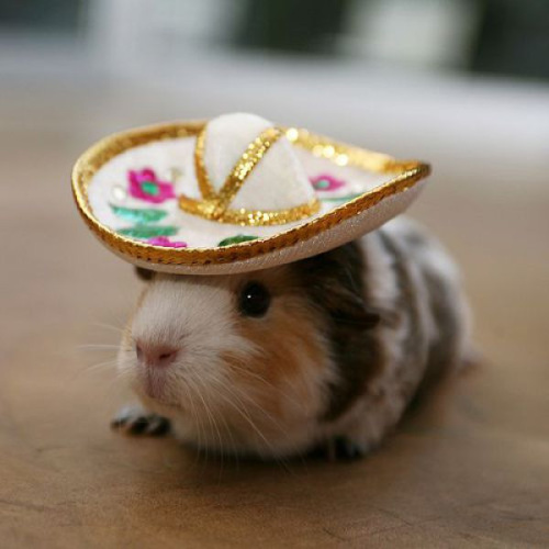 MrLichu